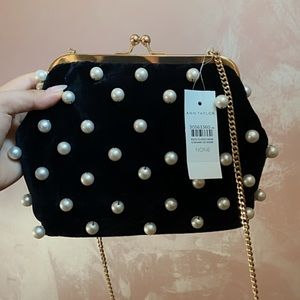 Ann Taylor Elegant Crossbody Bag